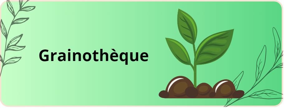 Lien vers la page de la grainothèque de Quaregnon