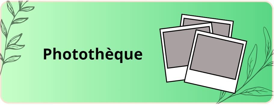 Lien vers la page de la photothèque de Quaregnon